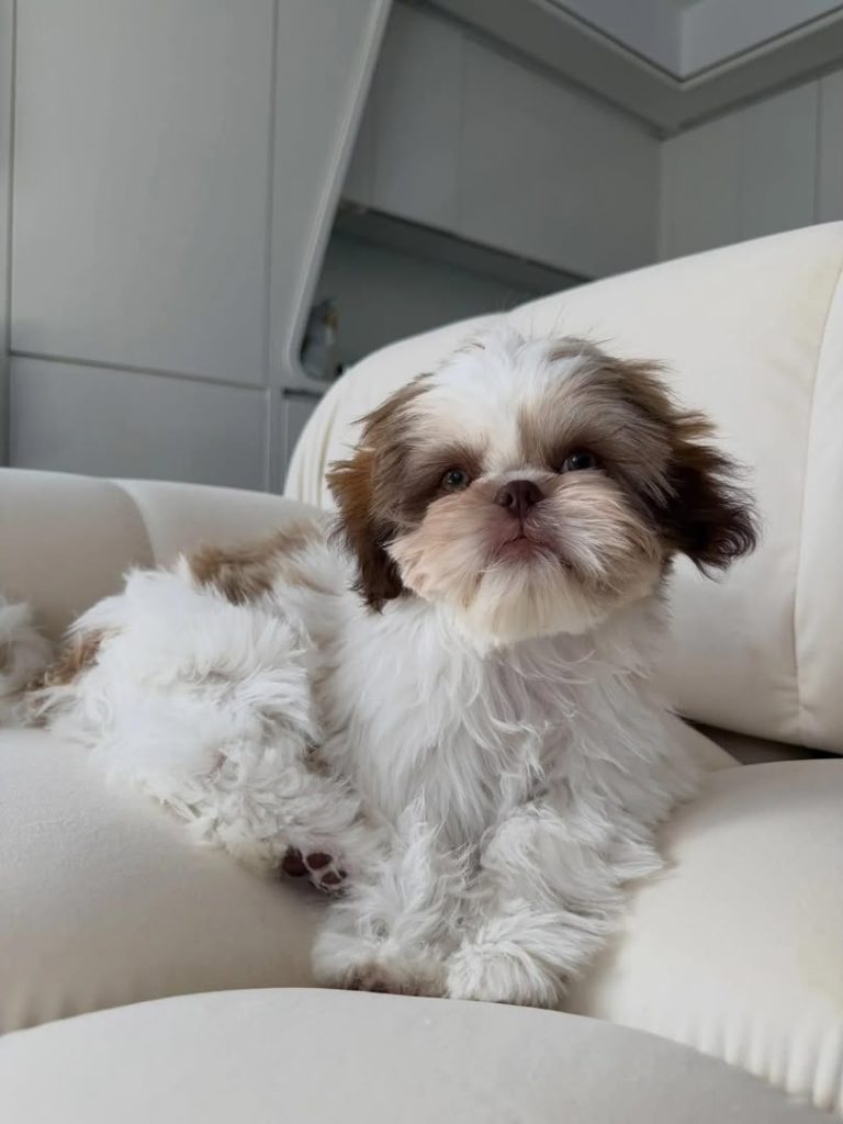 Milo